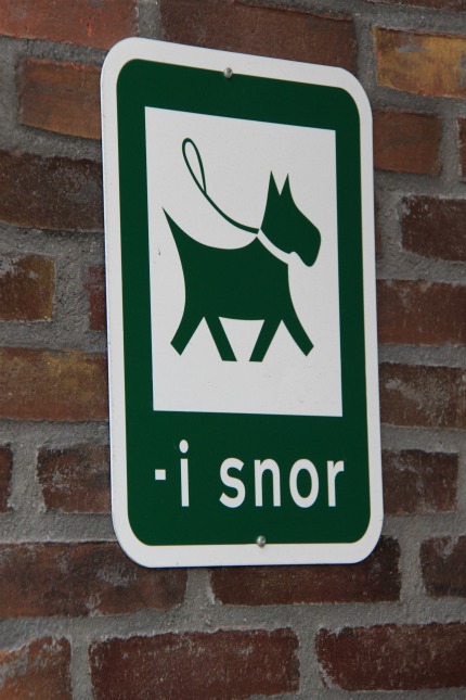 Hundisnor2