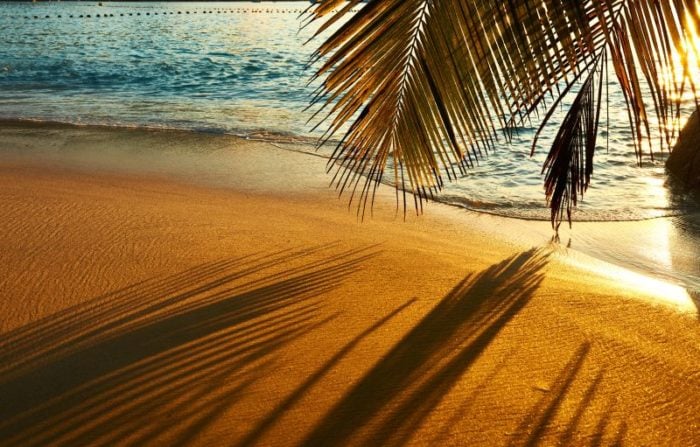 Beautiful sunset at Seychelles beach with palm tree shadow