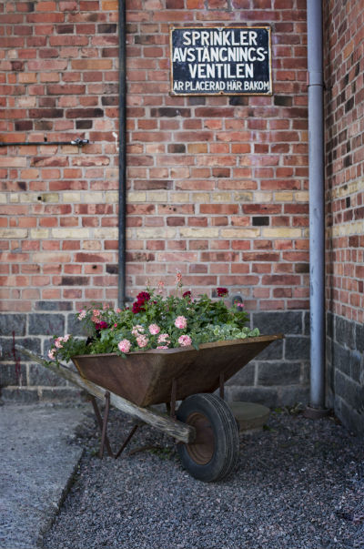 Sommarblommor