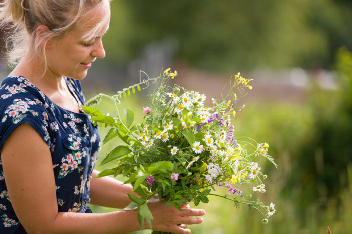 Kvinna som plockar vilda ängsblommor.