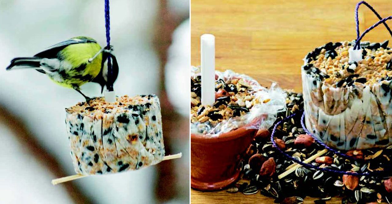 göra egen fågelmat recept göra egen fågelmat recept