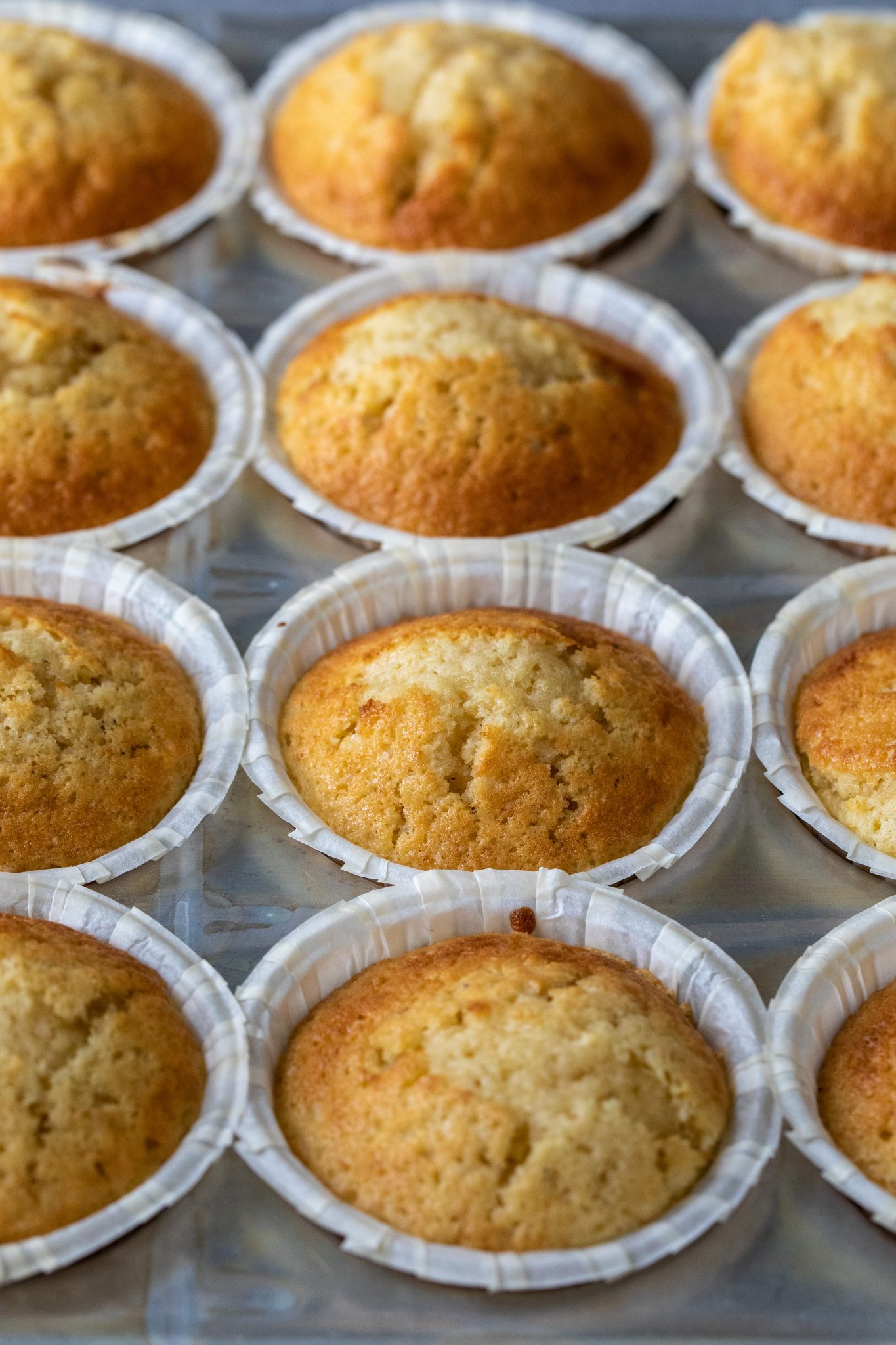 Muffins med vanilj Fredriks fika Allas.se